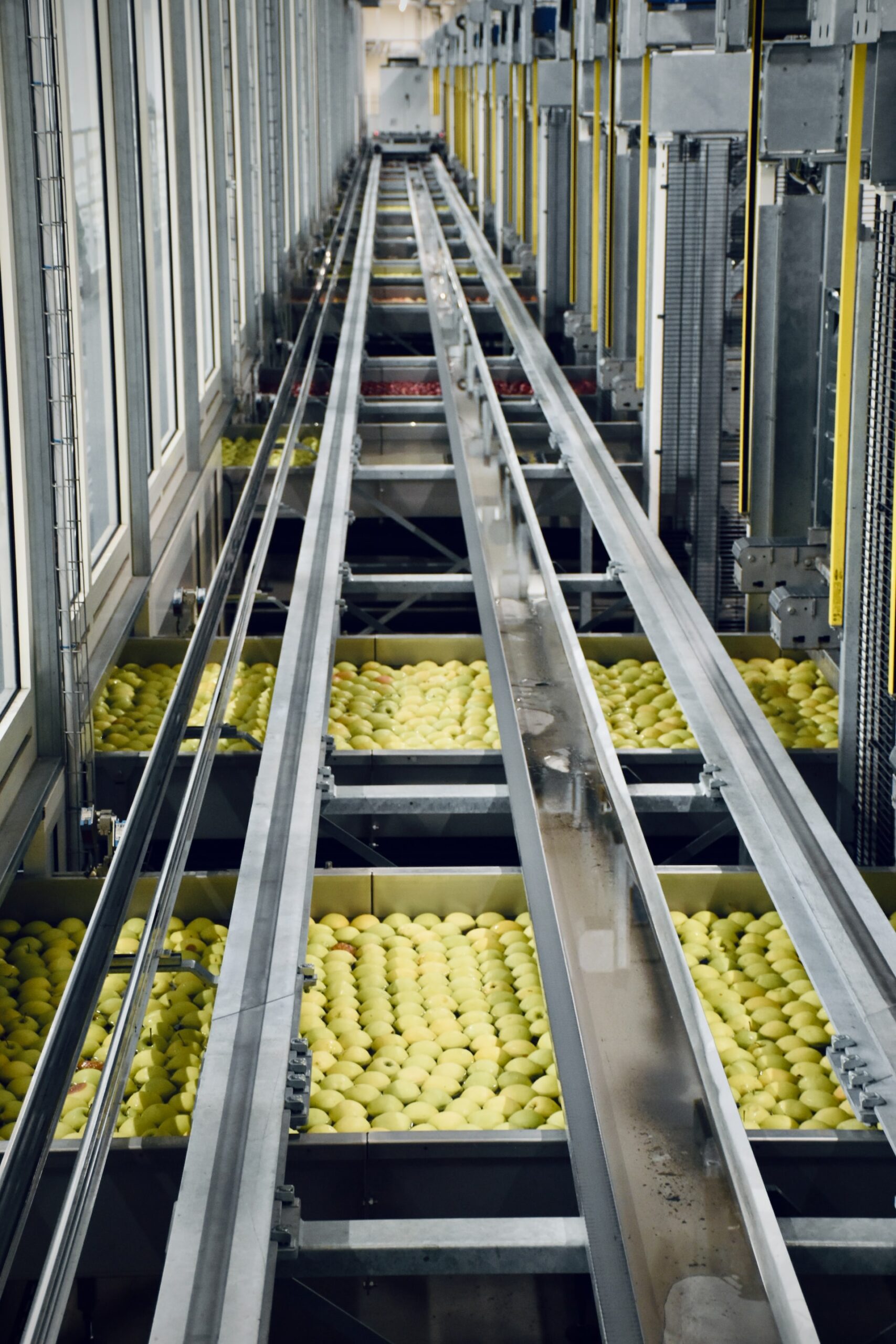 ISO Certification for the Food Manufacturing industry